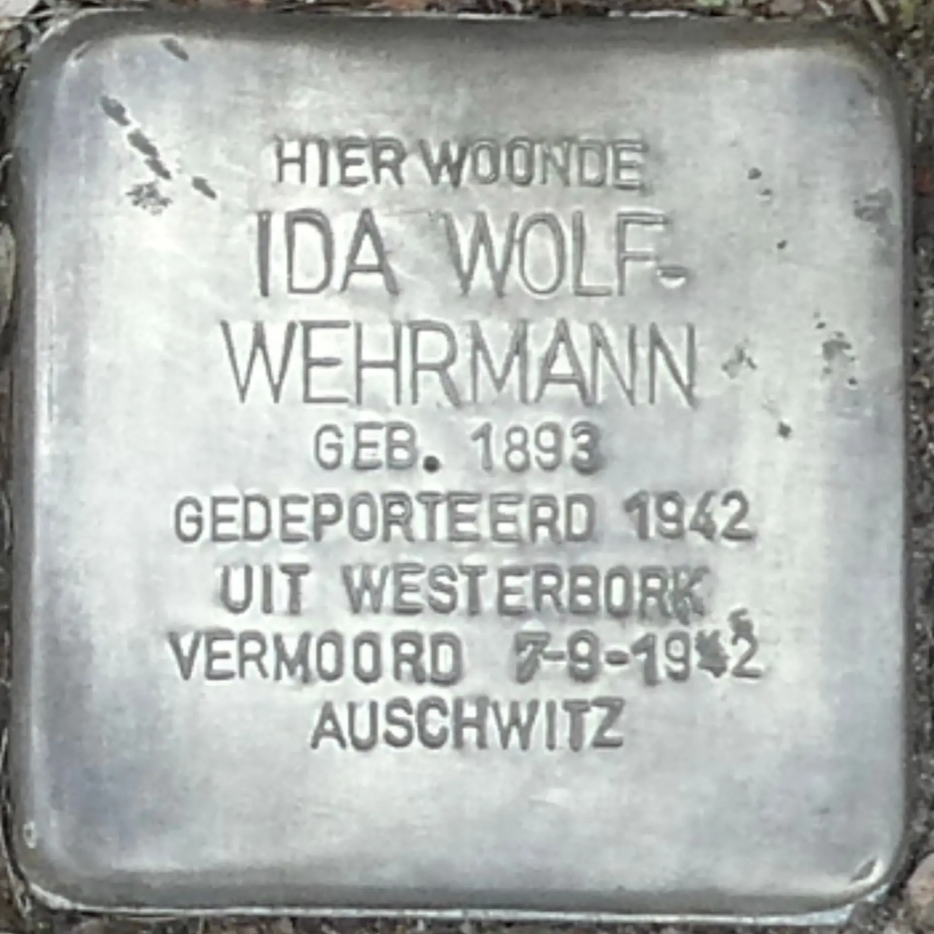 Struikelsteen voor Ida Wolf-Wehrmann