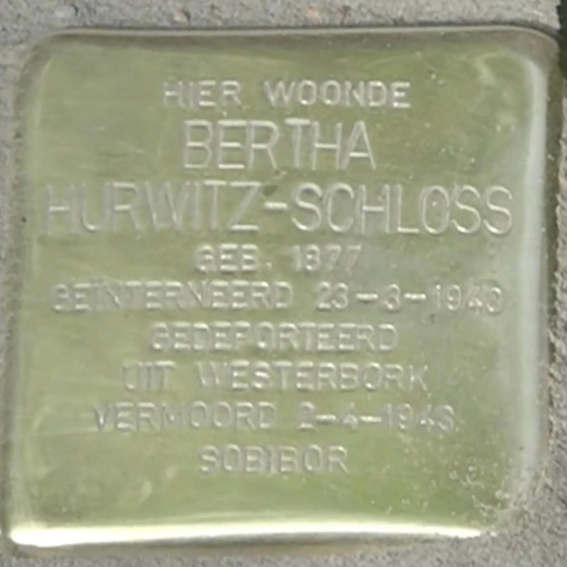 Struikelsteen voor Bertha Ottilie Hurwitz-Schloss