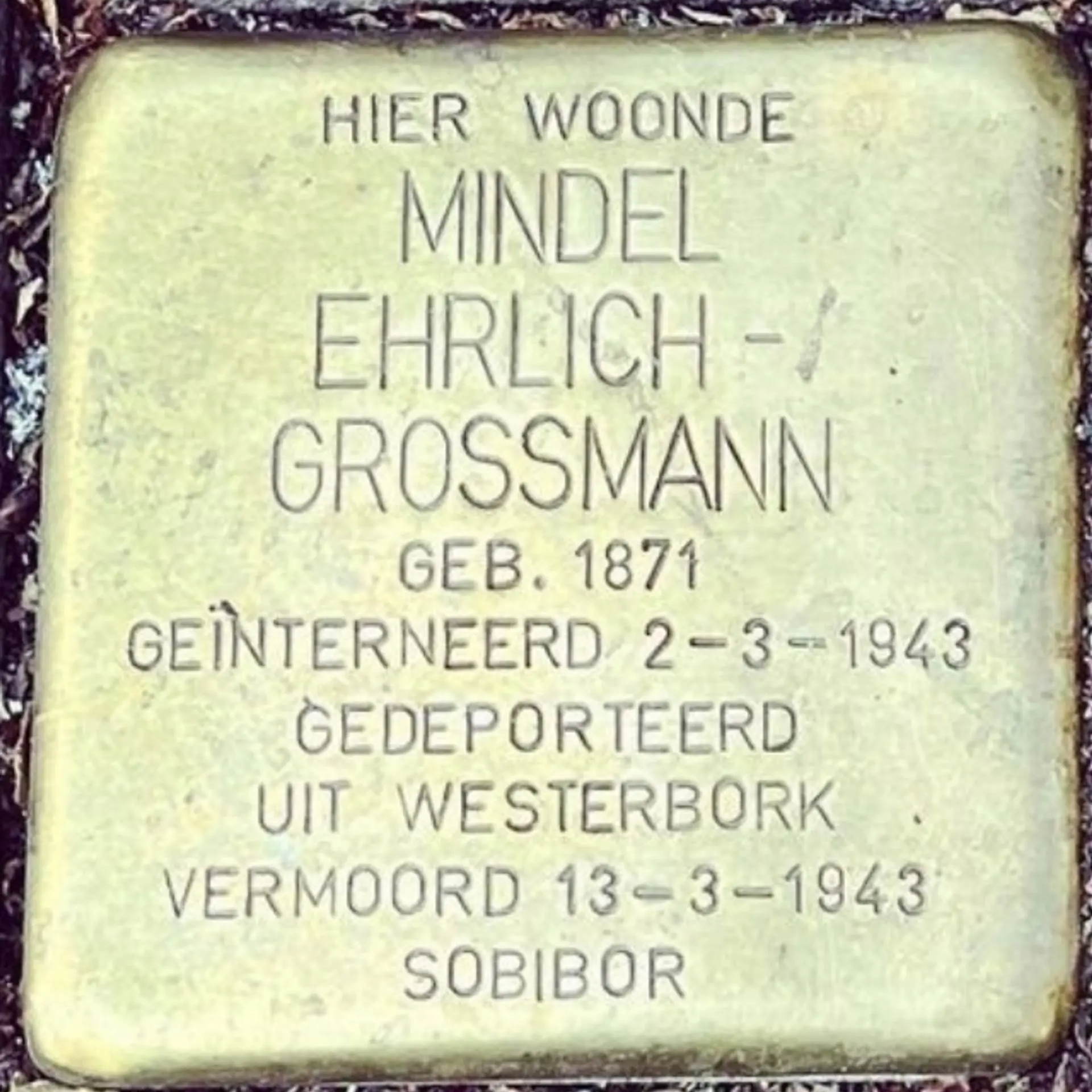 Struikelsteen voor Mindel Ehrlich-Grossmann
