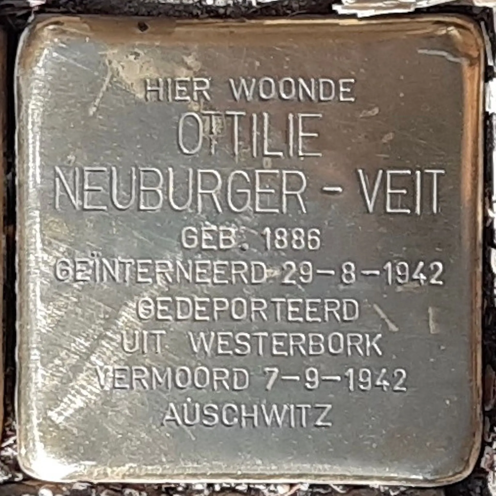 Struikelsteen voor Ottilie Neuburger-Veit