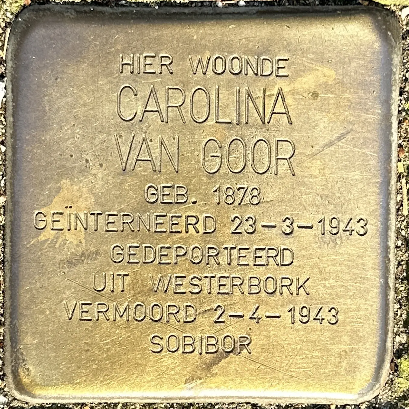 Struikelsteen voor Carolina van Goor
