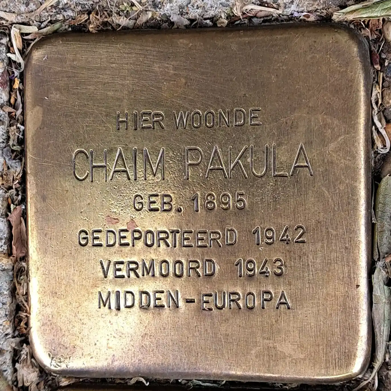 Struikelsteen voor Chaim Pakula