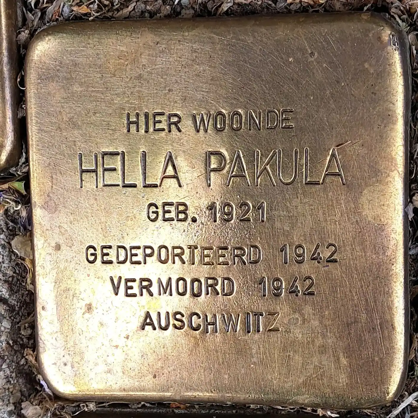 Struikelsteen voor Hella Pakula