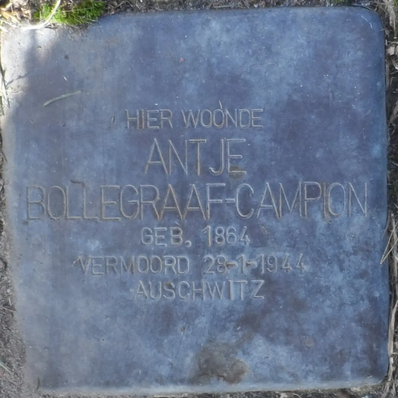 Struikelsteen voor Antje Bollegraaf-Campion