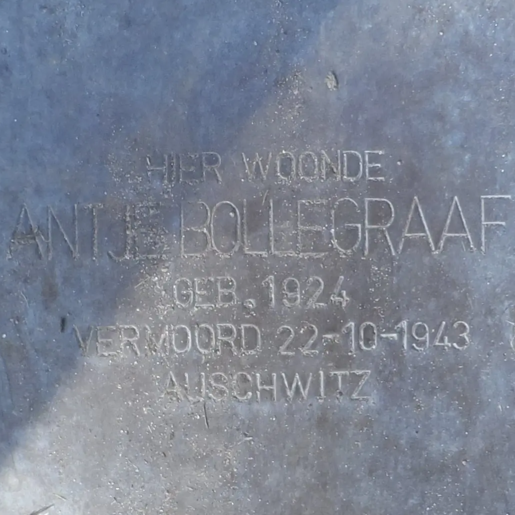 Struikelsteen voor Antje Bollegraaf