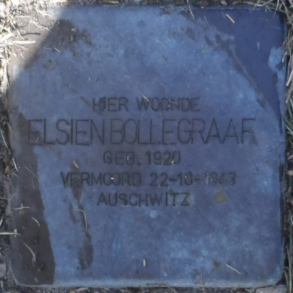 Struikelsteen voor Elsien Bollegraaf