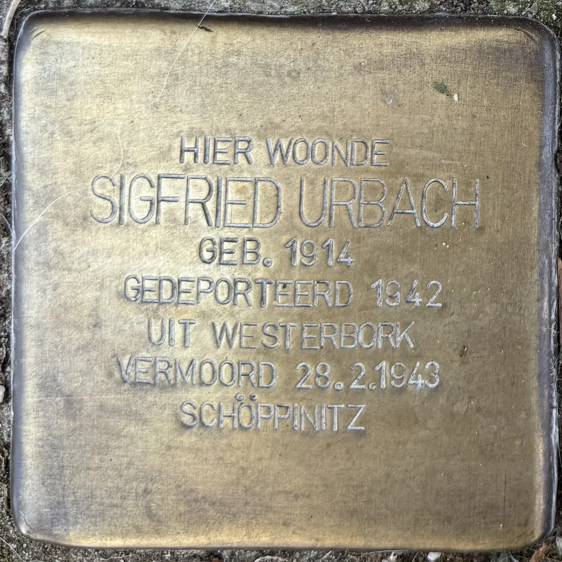 Struikelsteen voor Sigfried Urbach