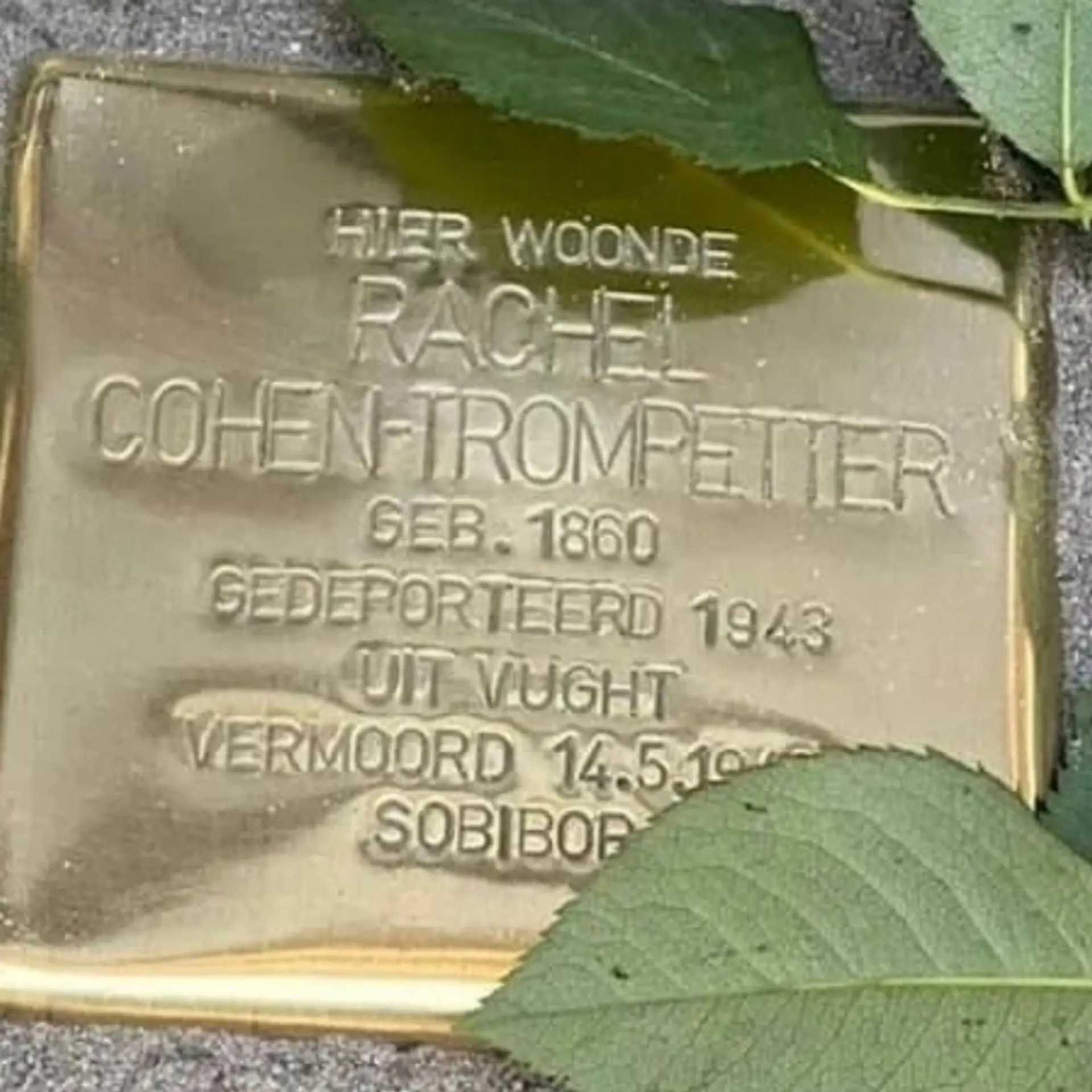 Struikelsteen voor Rachel Cohen-Trompetter