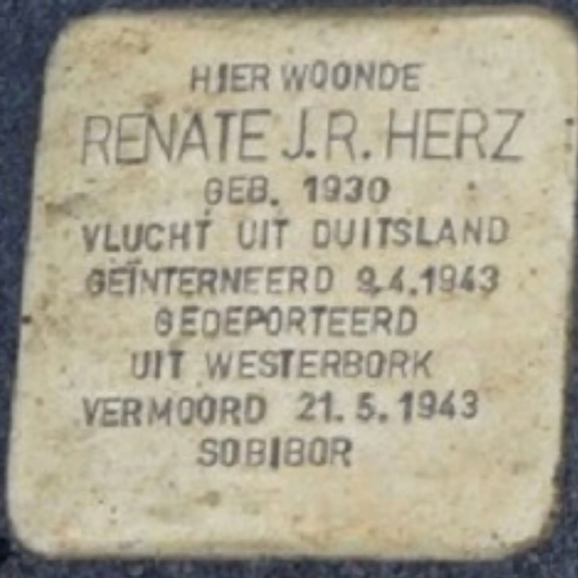 Struikelsteen voor Renate Jenny Regine Herz