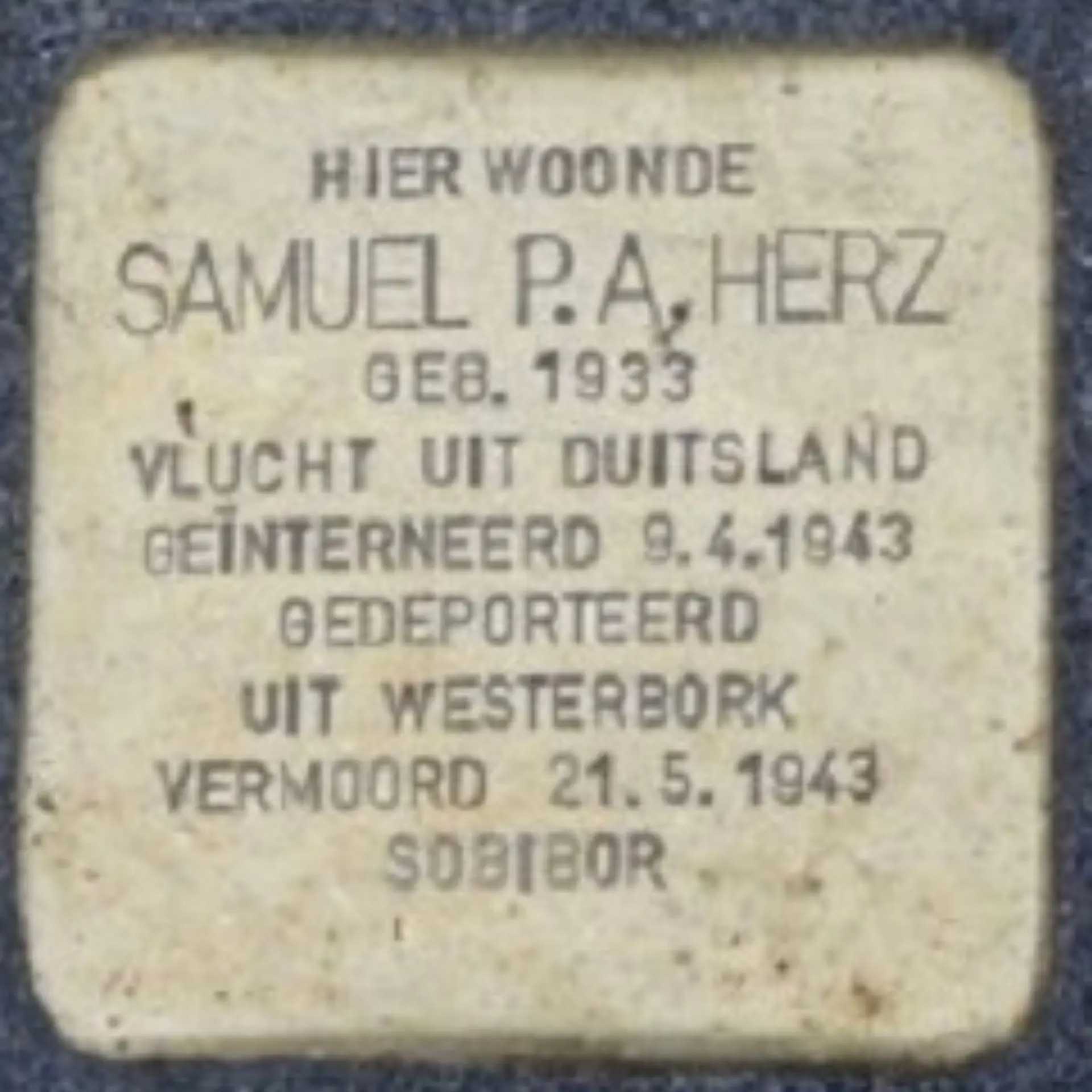 Struikelsteen voor Samuel Paul Albert Herz