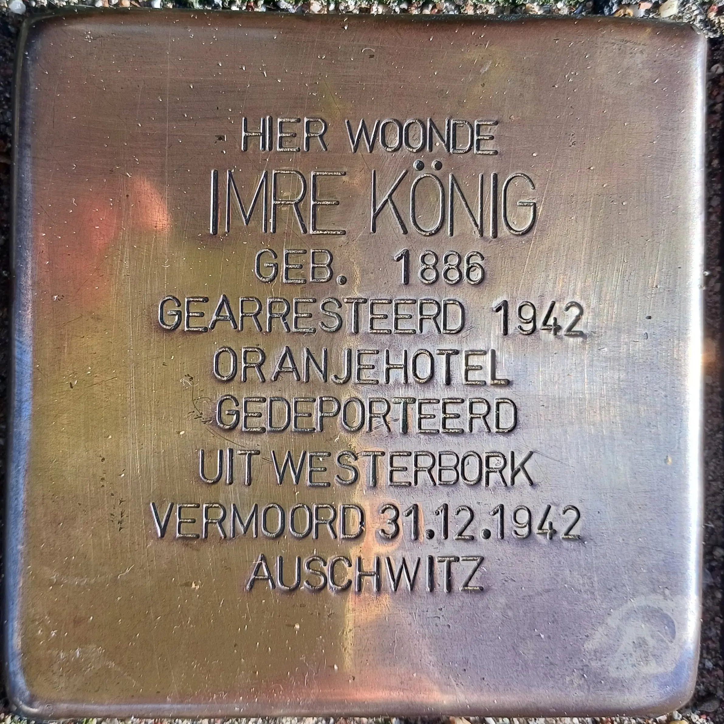 Struikelsteen voor Imre König