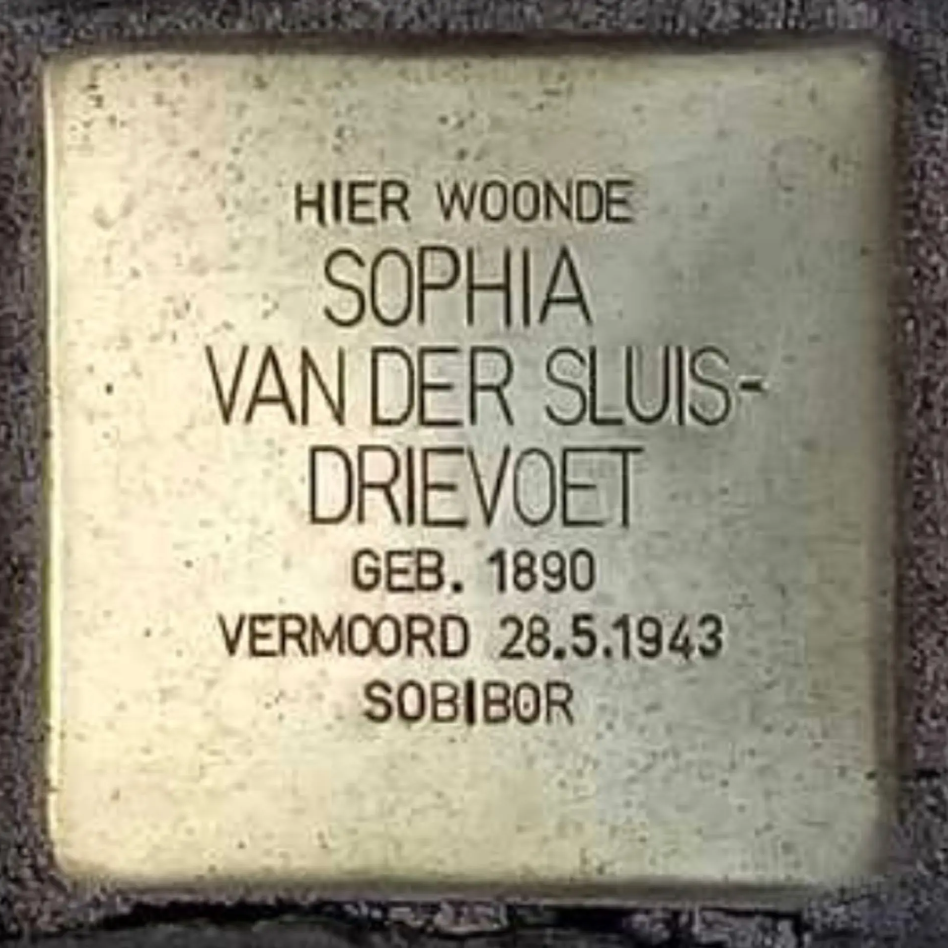 Struikelsteen voor Sophia van der Sluis-Drievoet