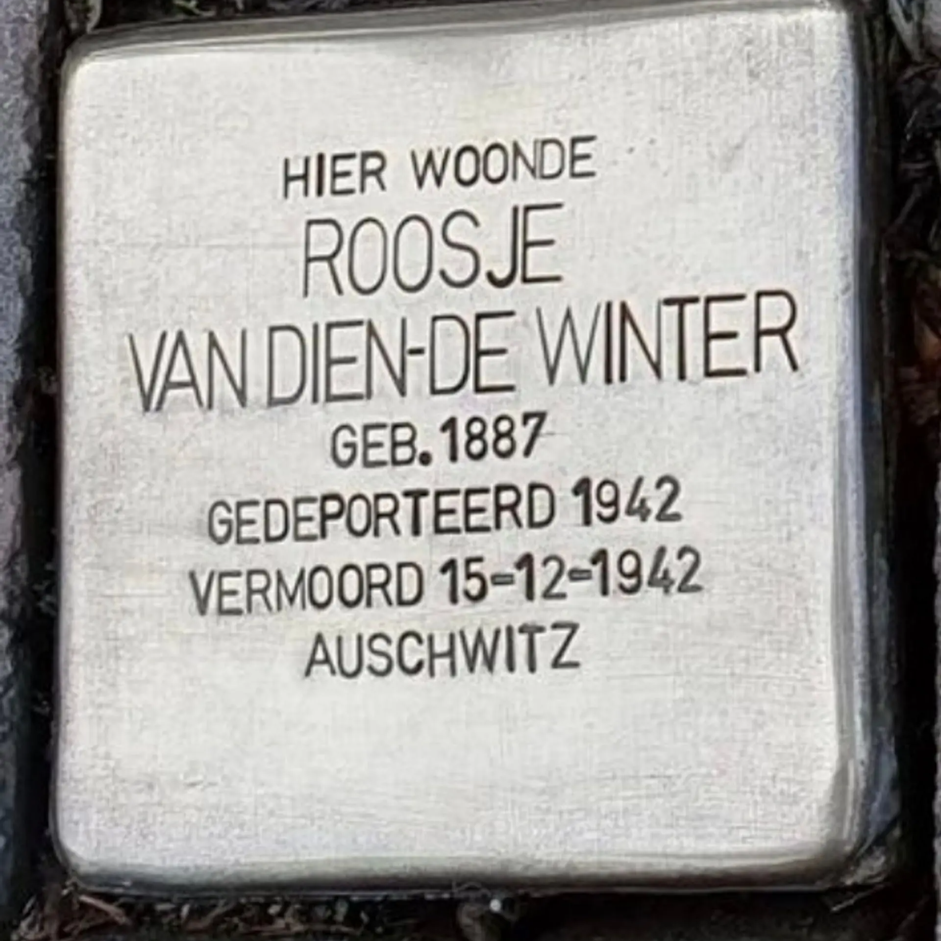 Struikelsteen voor Roosje van Dien-de Winter