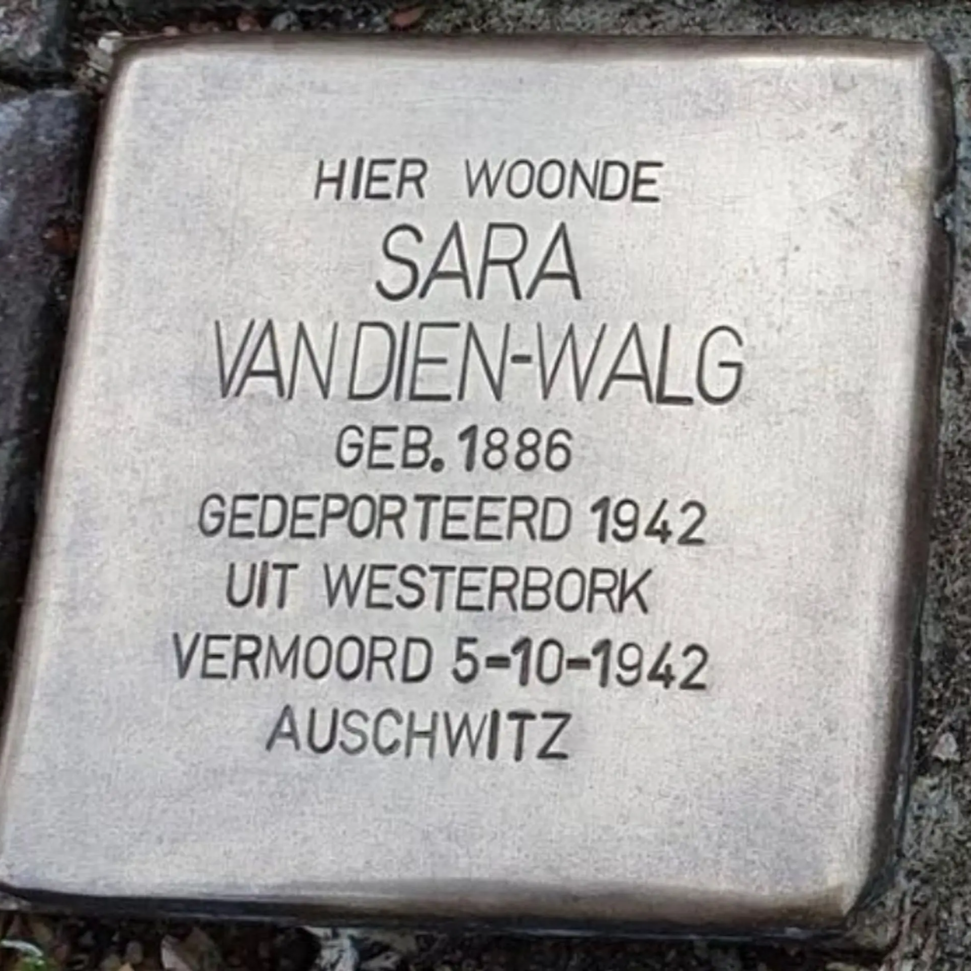 Struikelsteen voor Sara van Dien-Walg