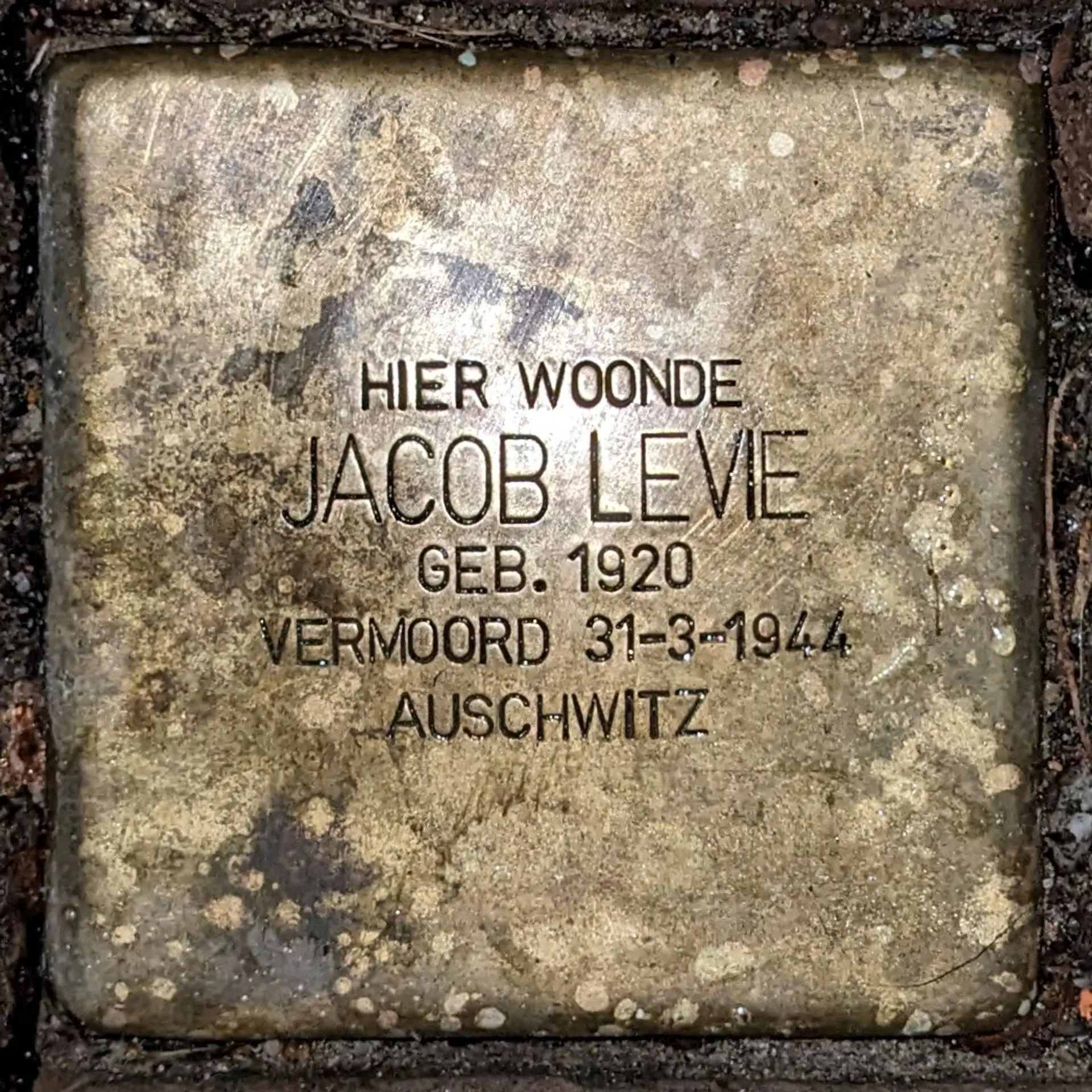 Struikelsteen voor Jacob Levie