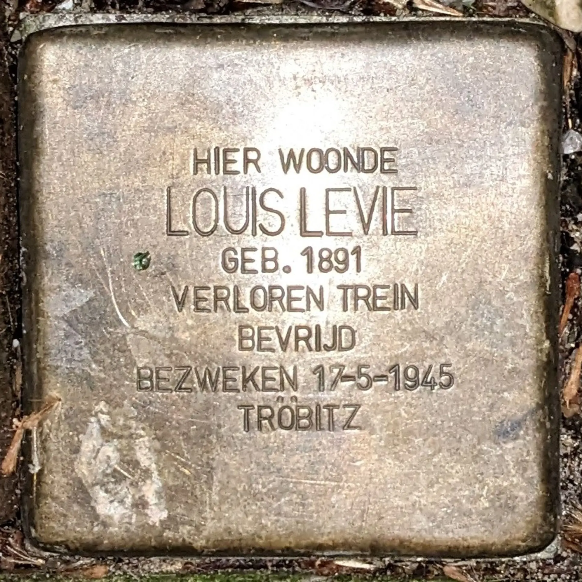 Struikelsteen voor Louis Levie