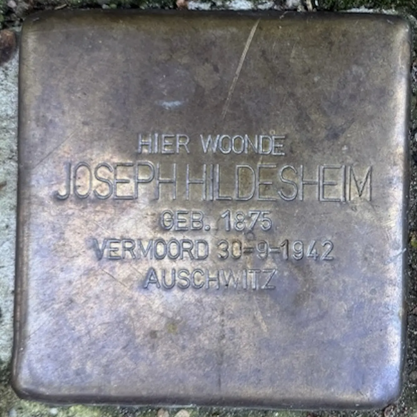 Struikelsteen voor Joseph Hildesheim