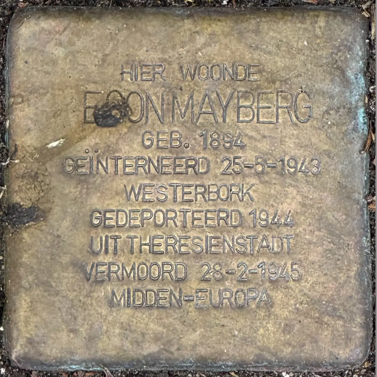 Struikelsteen voor Egon Salomon Mayberg