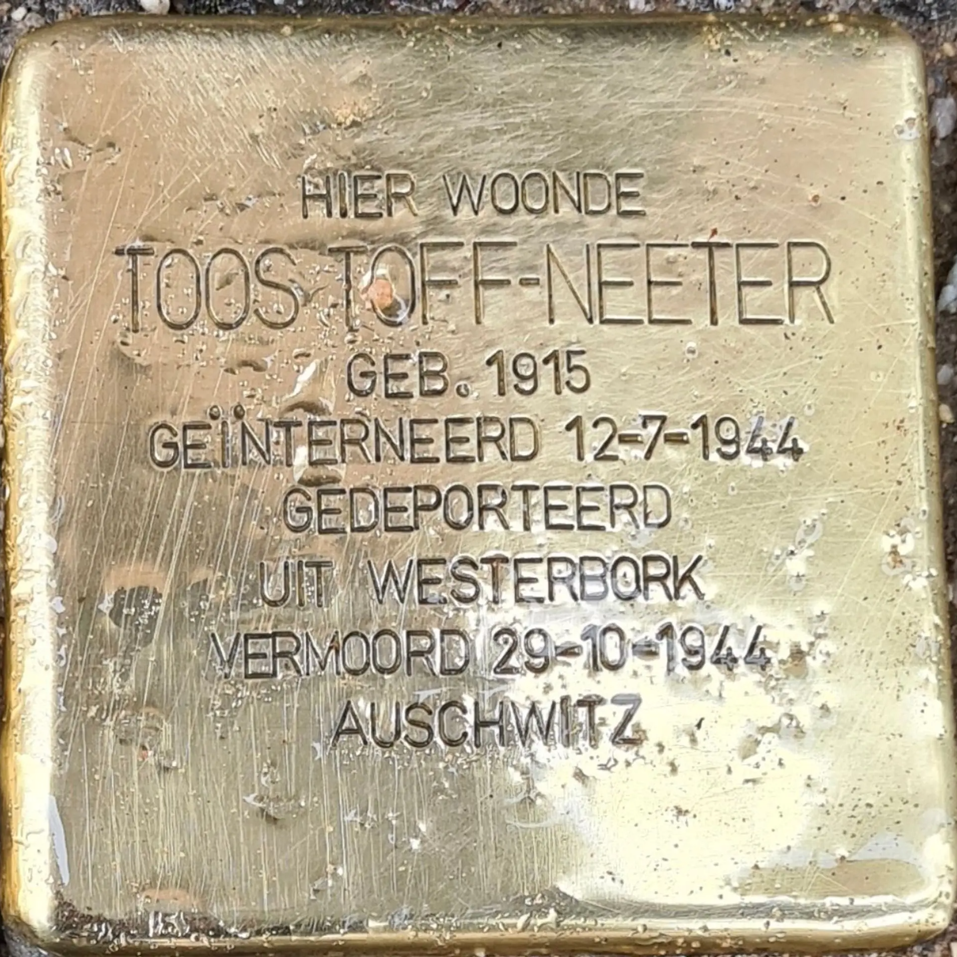 Struikelsteen voor Cato Toff-Neeter