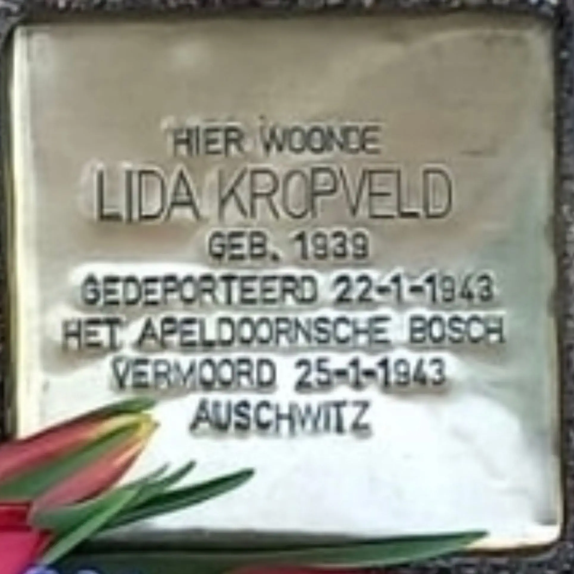 Struikelsteen voor Lida Kropveld