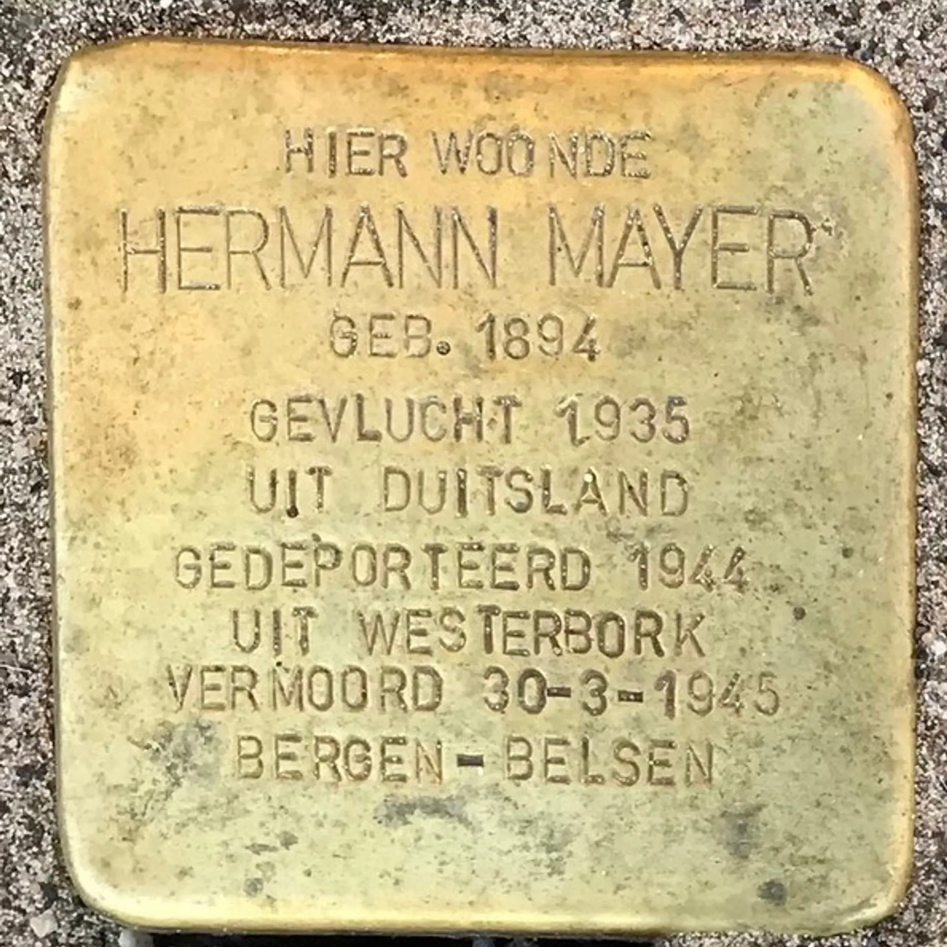 Struikelsteen voor Hermann Mayer
