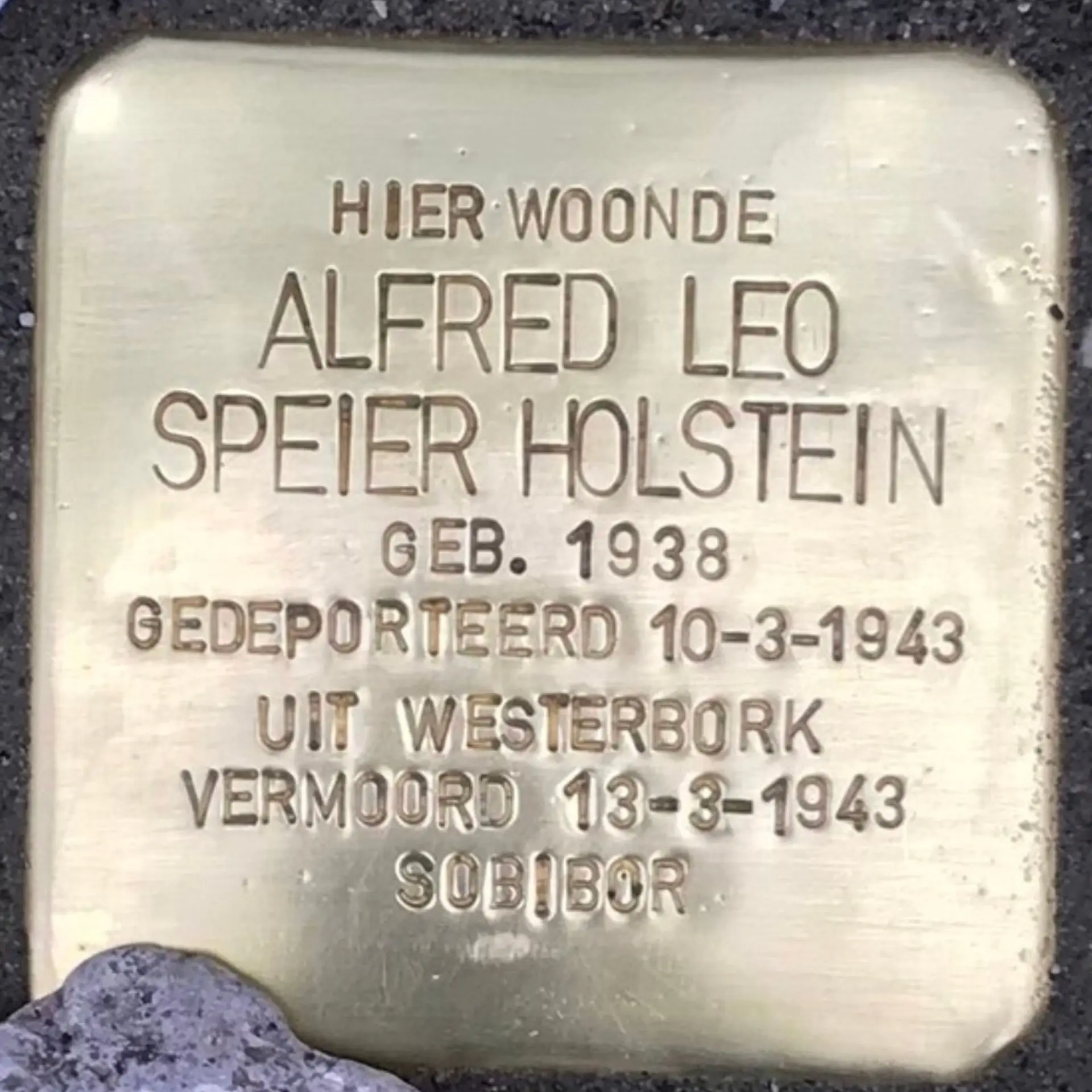Struikelsteen voor Alfred Leo Speier Holstein