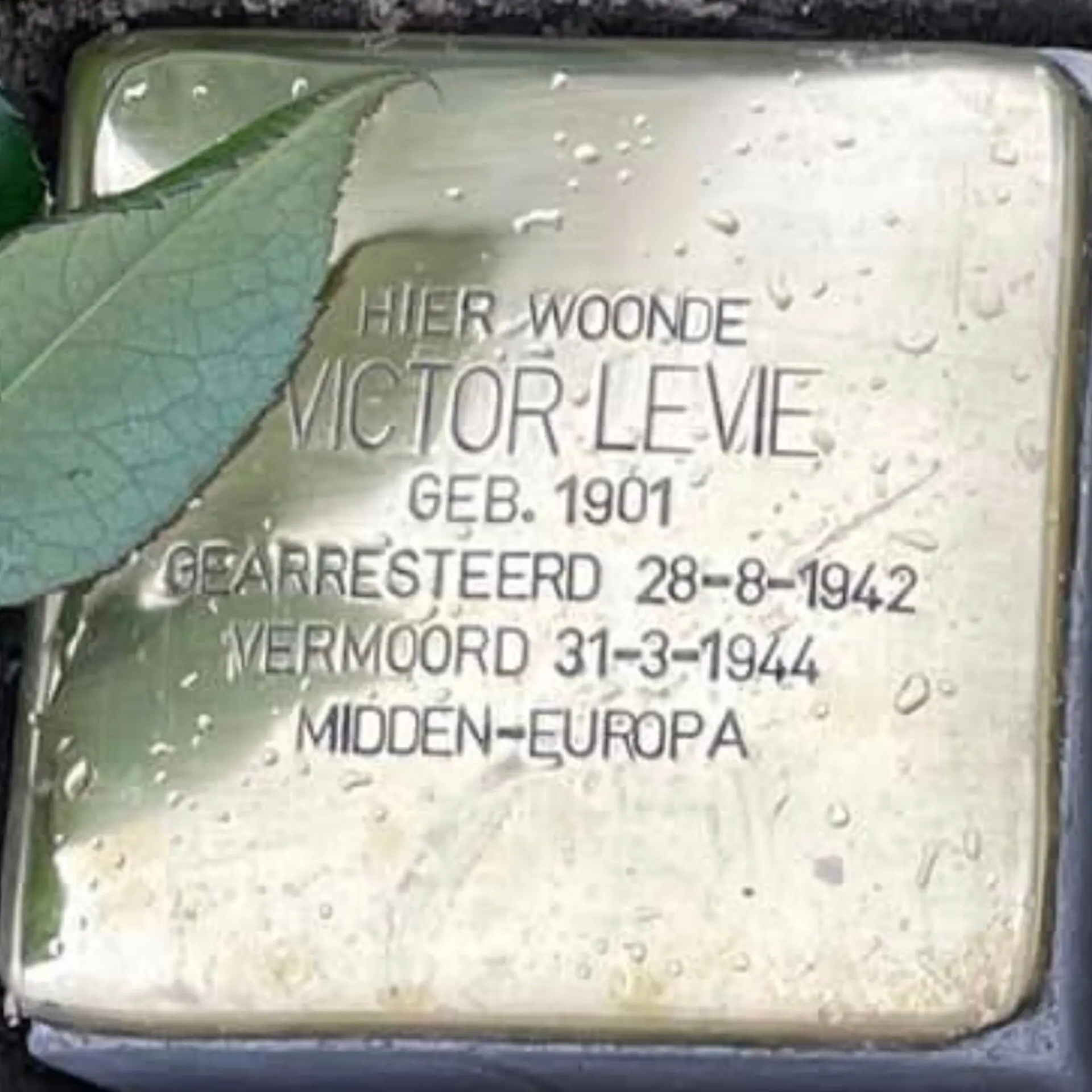 Struikelsteen voor Victor Levie