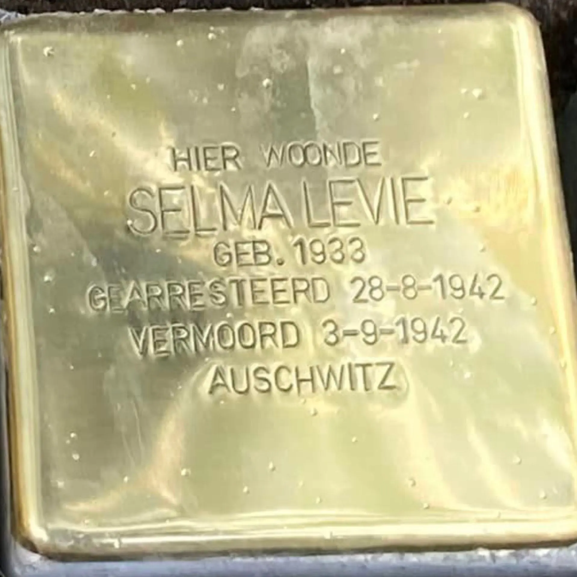 Struikelsteen voor Selma Levie