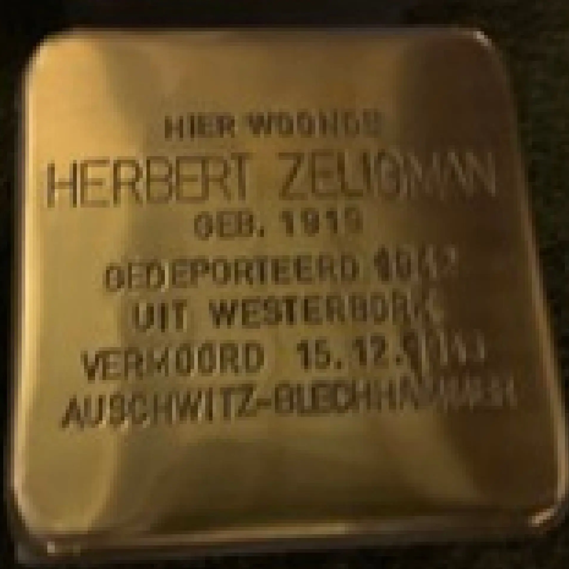 Struikelsteen voor Herbert Zeligman