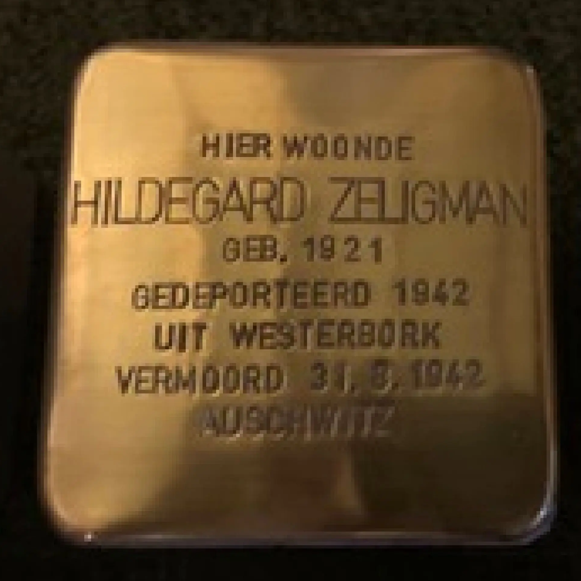 Struikelsteen voor Hildegard Zeligman