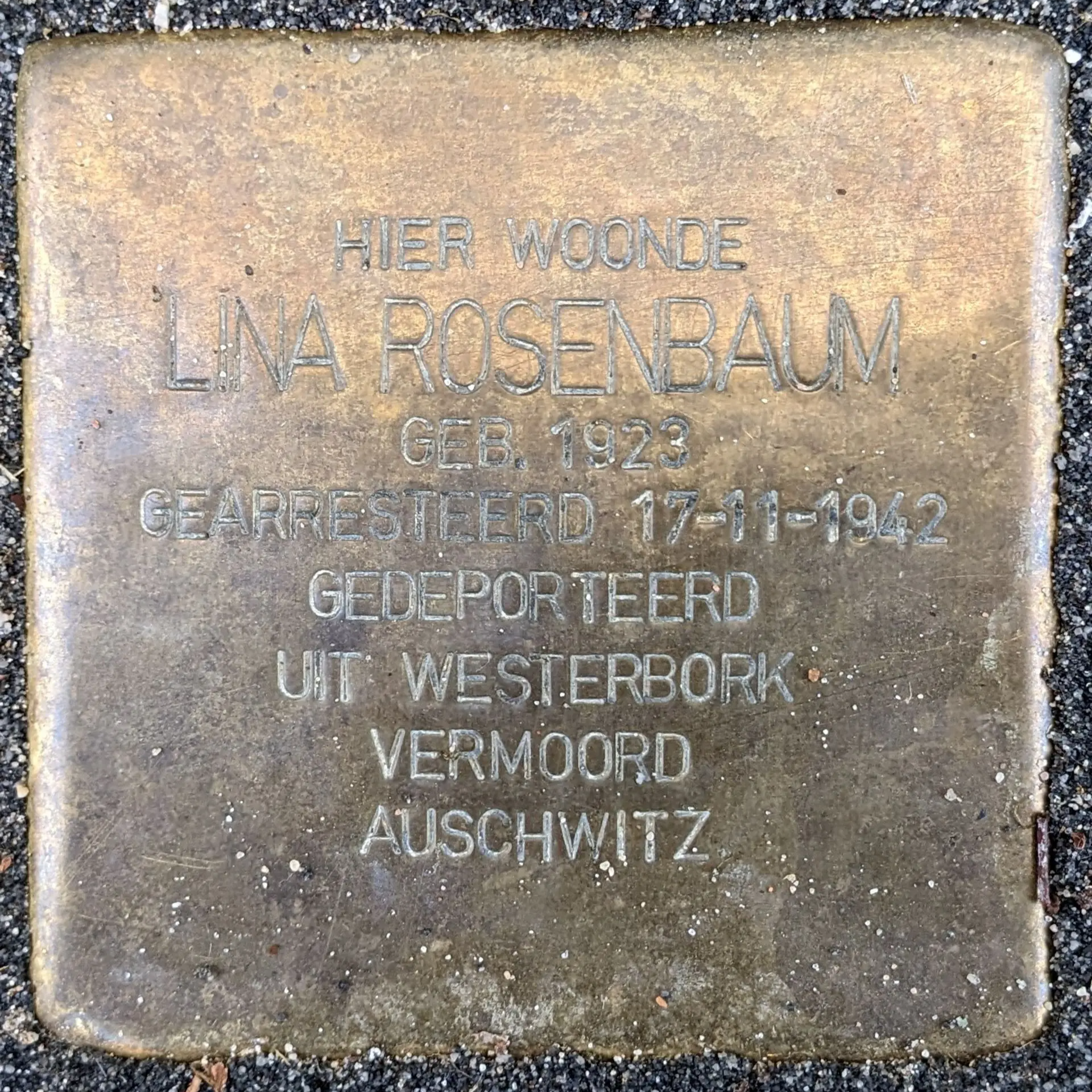 Struikelsteen voor Lina Rosenbaum