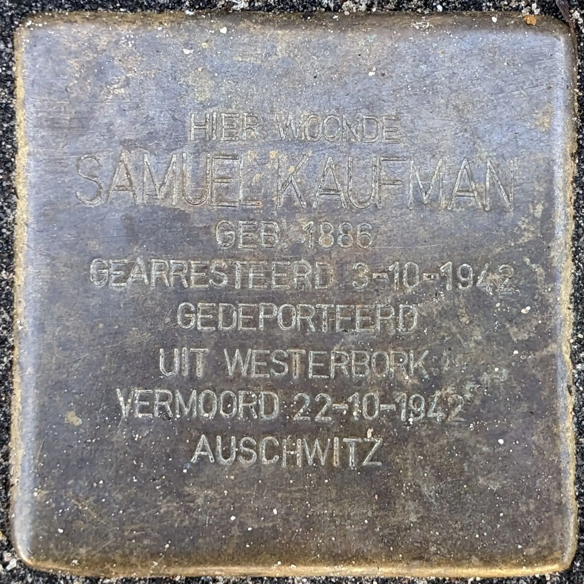 Struikelsteen voor Samuel Kaufman