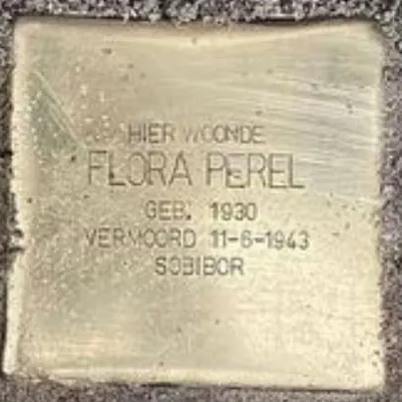 Struikelsteen voor Flora Perel