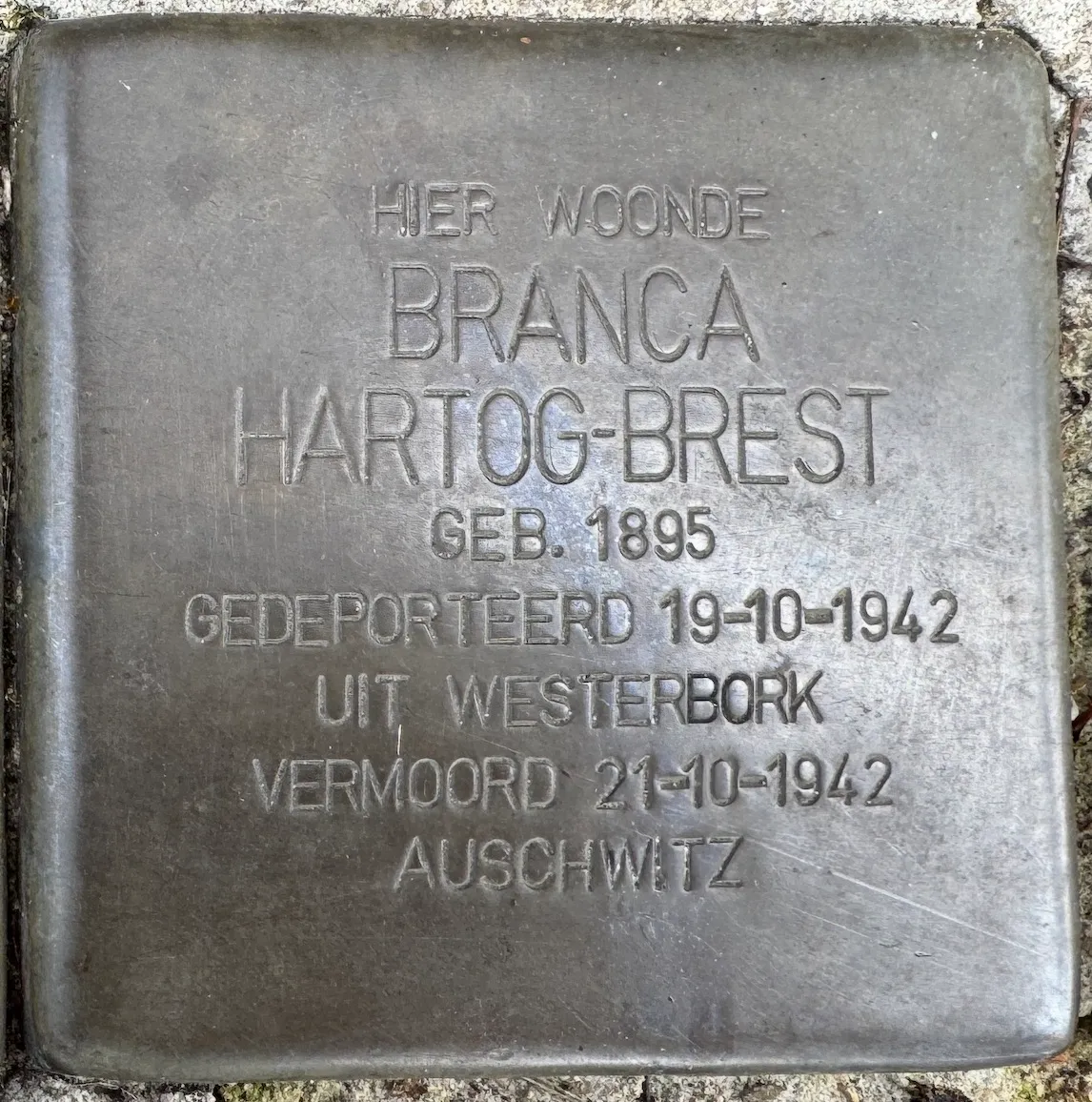 Struikelsteen voor Branca Hartog-Brest