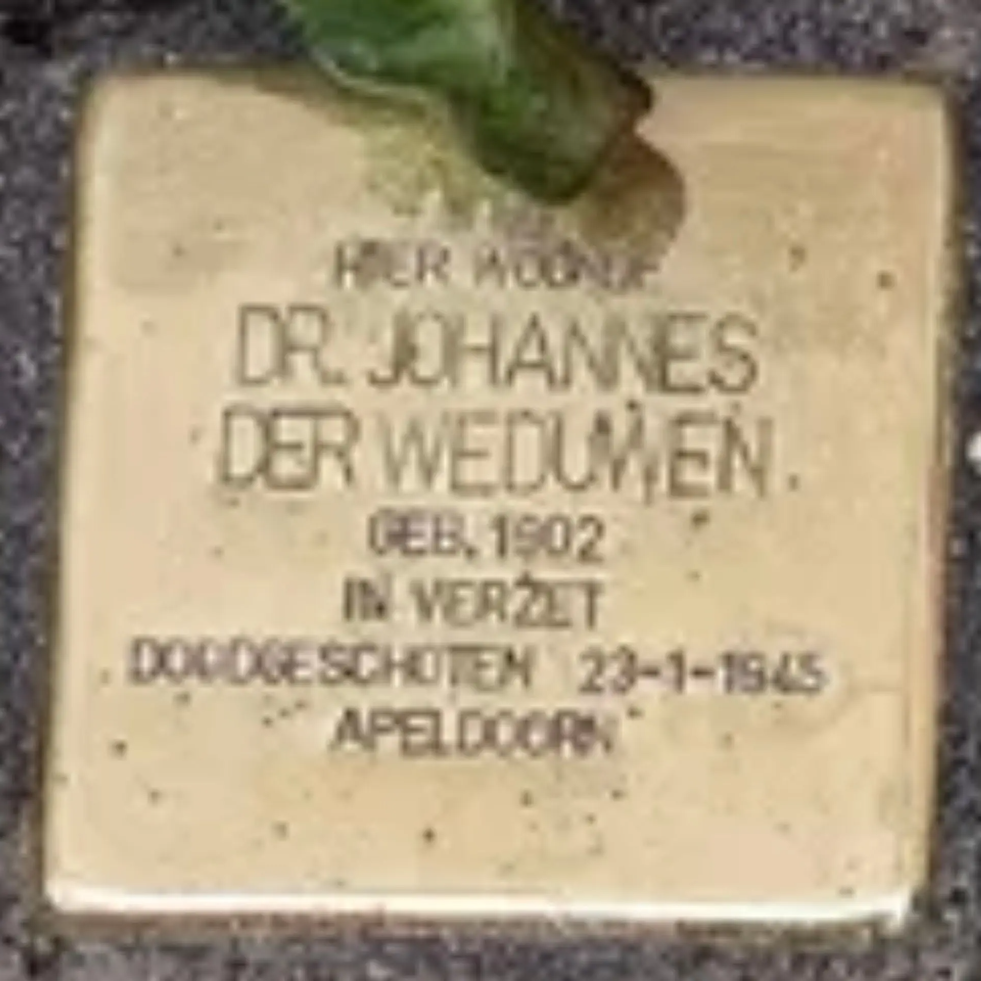 Struikelsteen voor Johannes der Weduwen