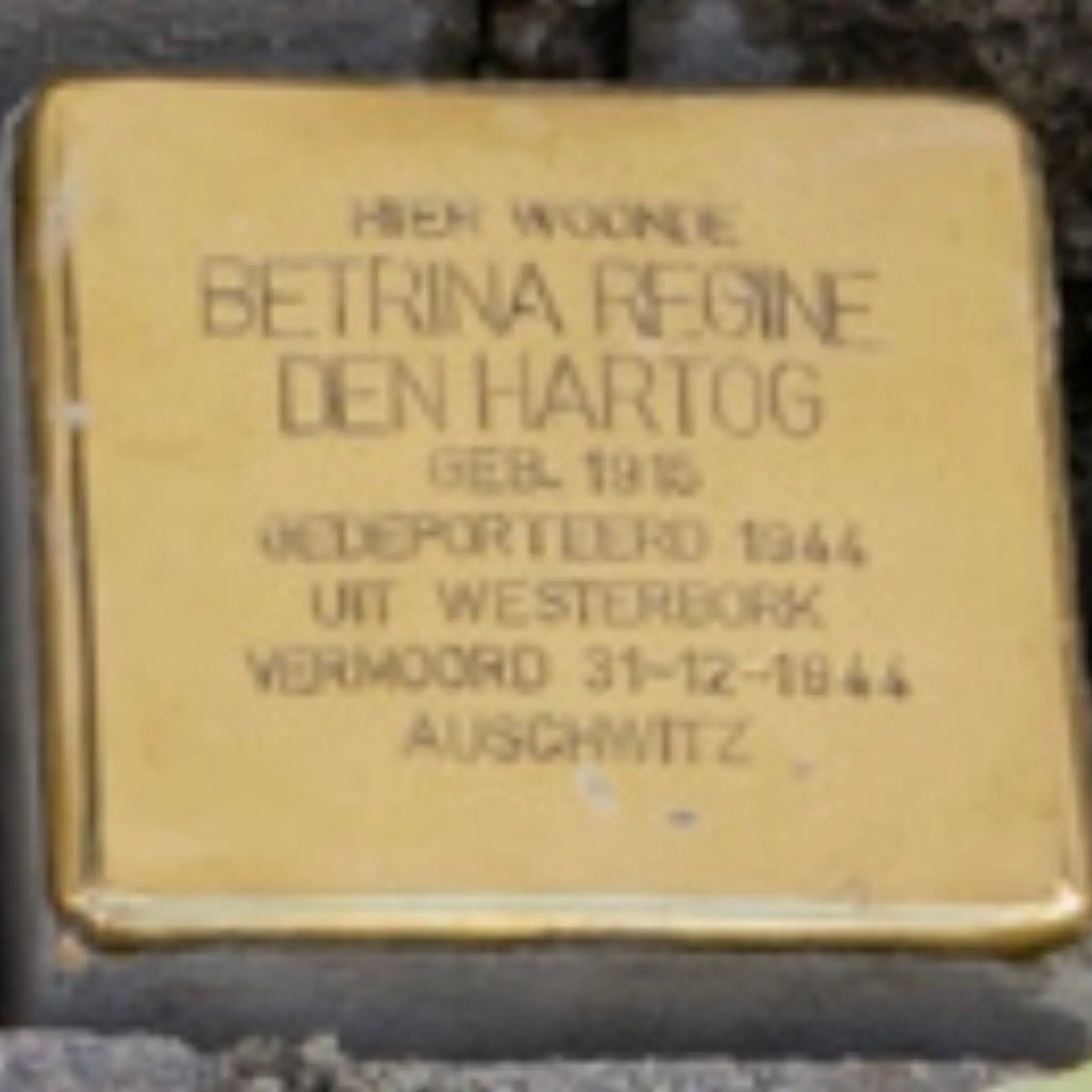 Struikelsteen voor Betrina Regine den Hartog