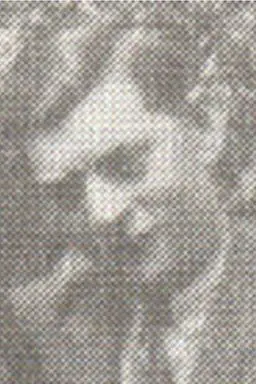 Portret van Henri Frank