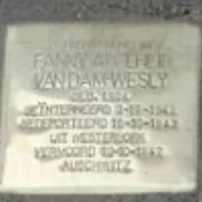 Struikelsteen voor Fanny Adelheid Helena van Dam-Wesly