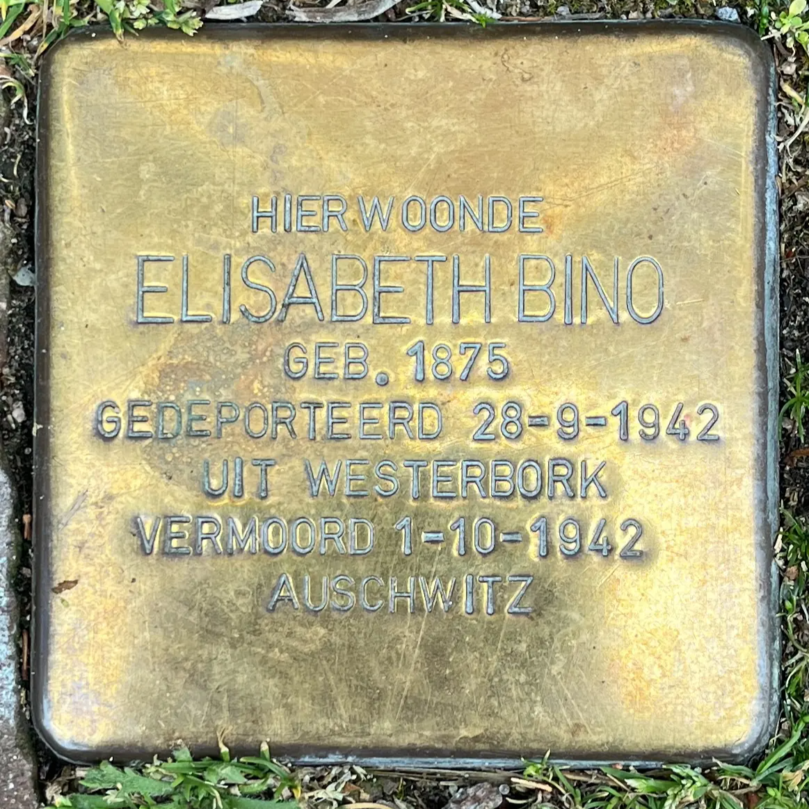 Struikelsteen voor Elisabeth Bino