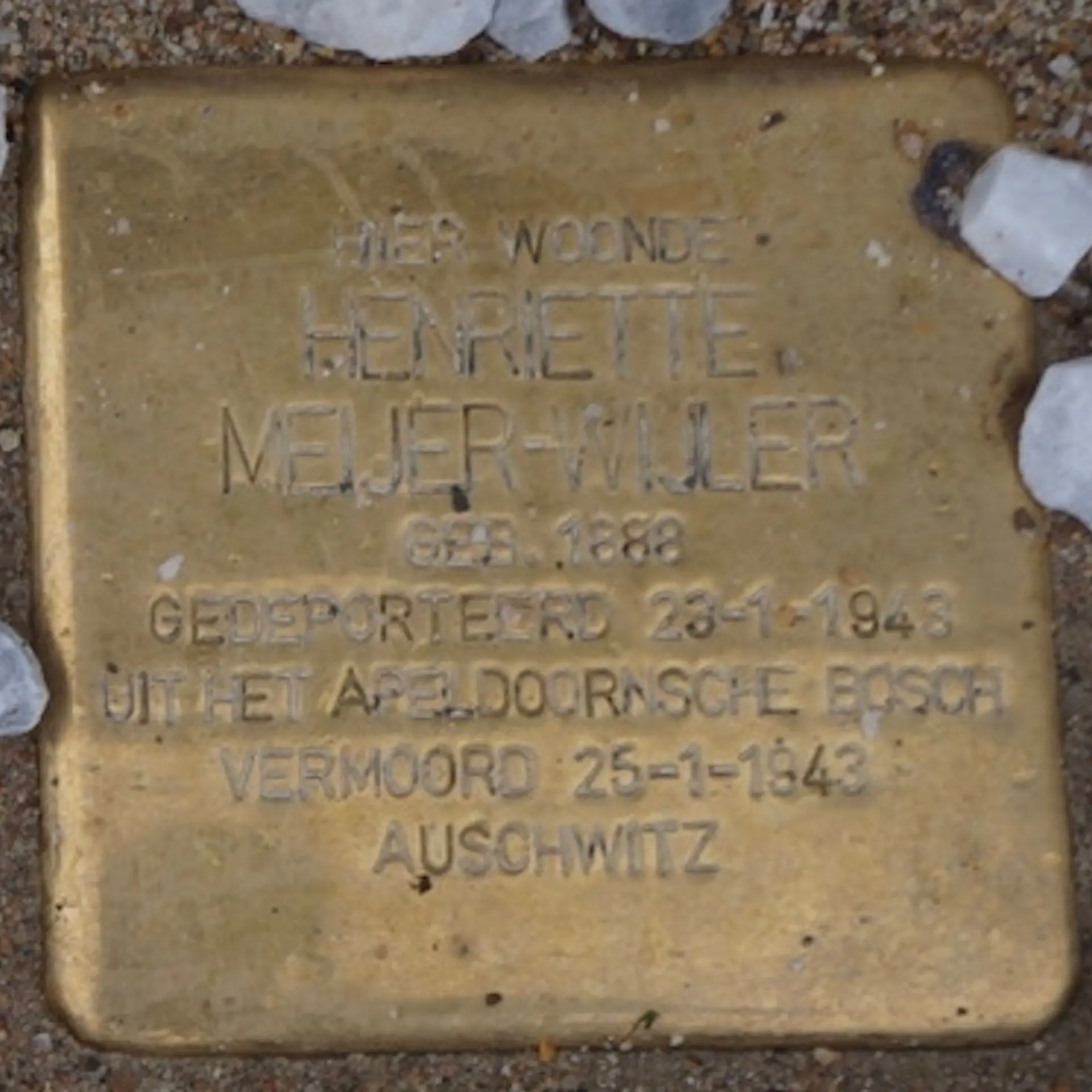 Struikelsteen voor Henriette Meijer-Wijler