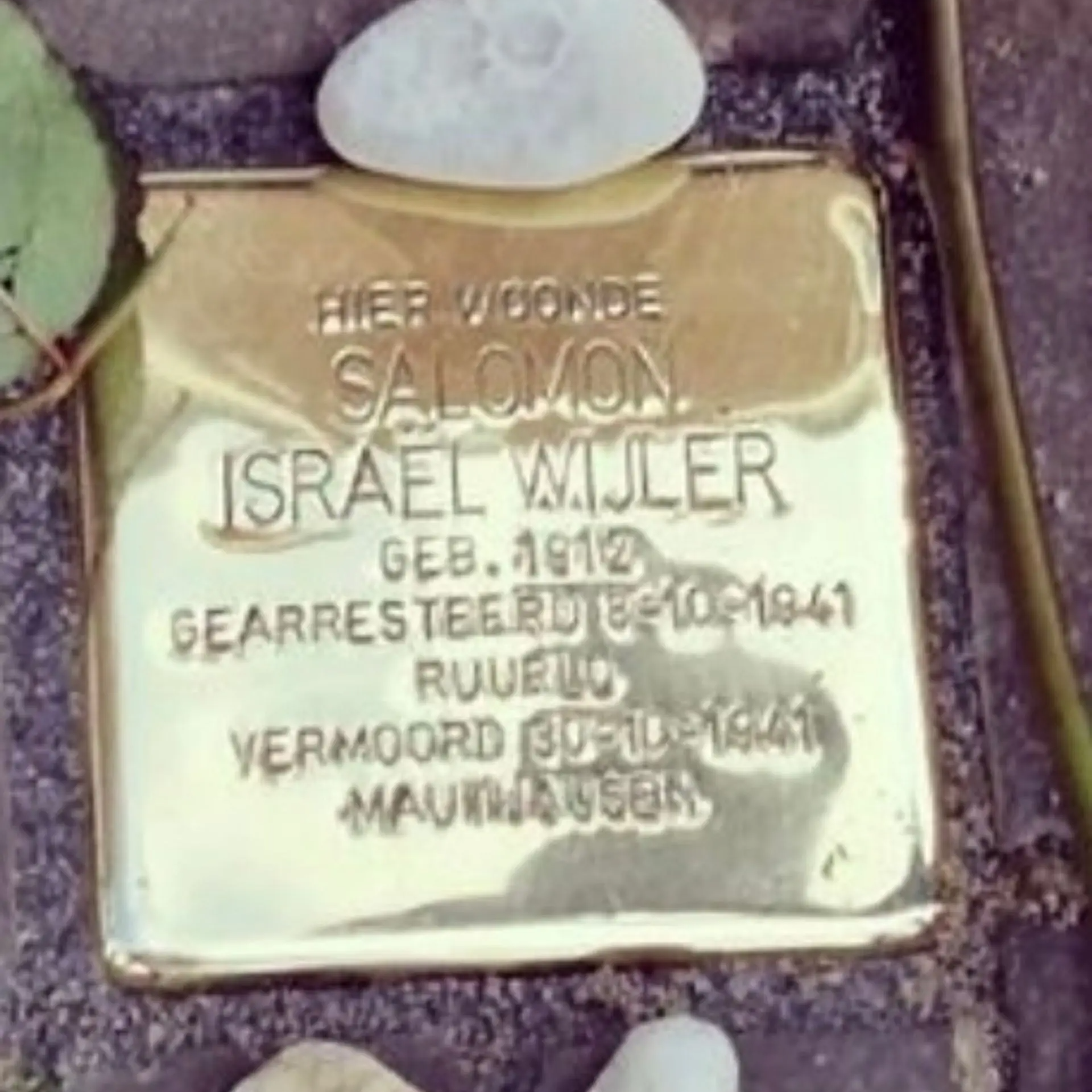 Struikelsteen voor Salomon Israël Wijler