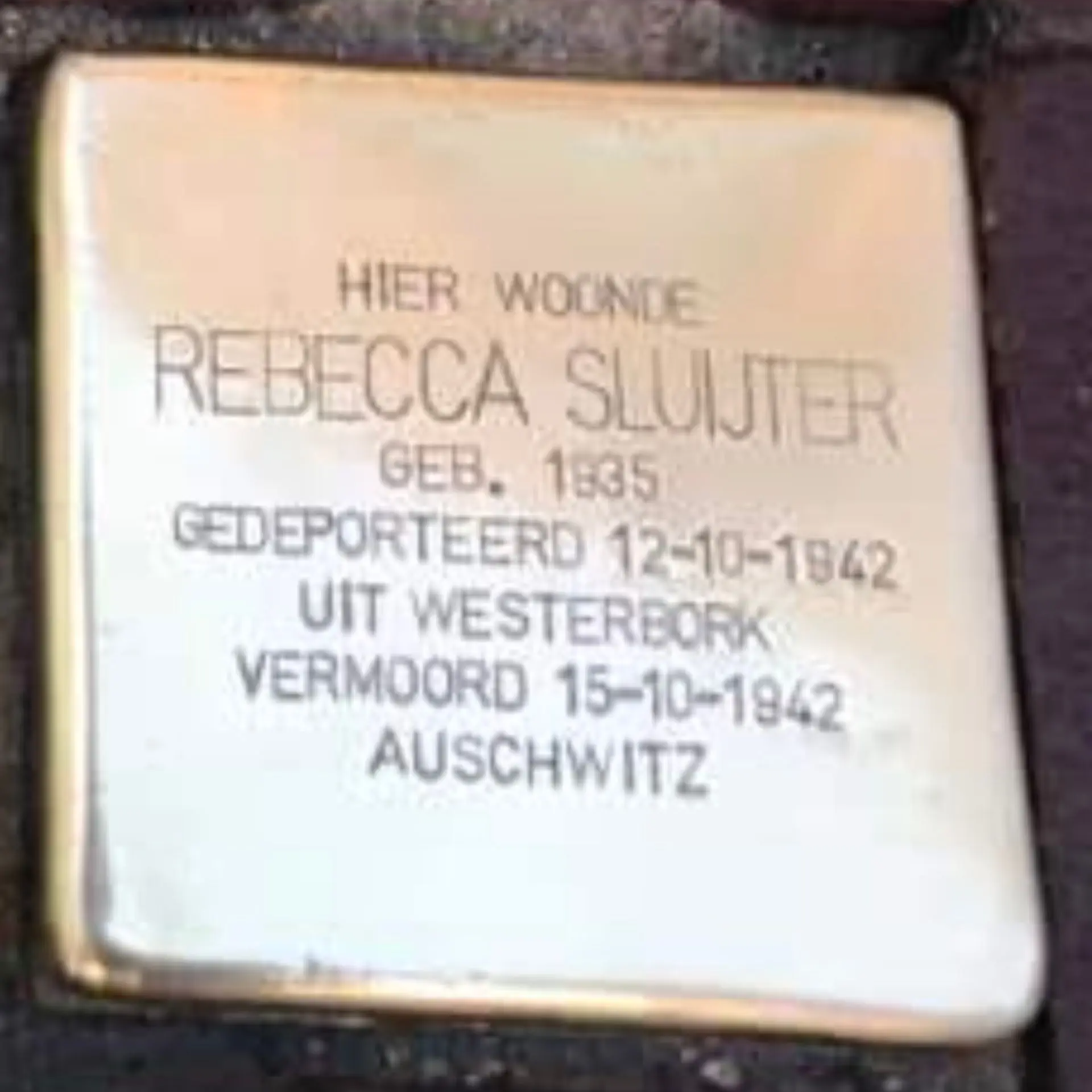 Placeholder