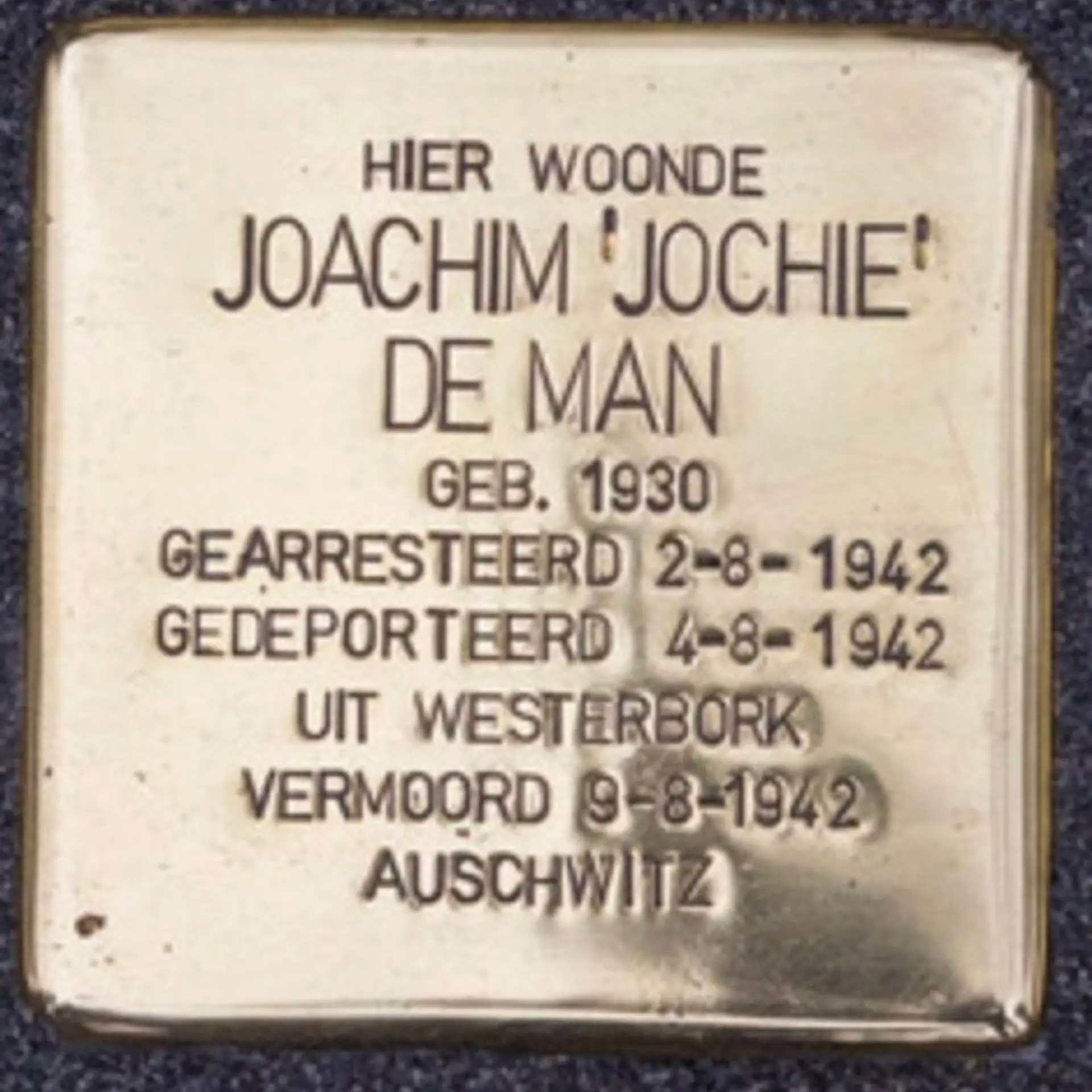 Struikelsteen voor Joachim Albertus Maria Hamburger