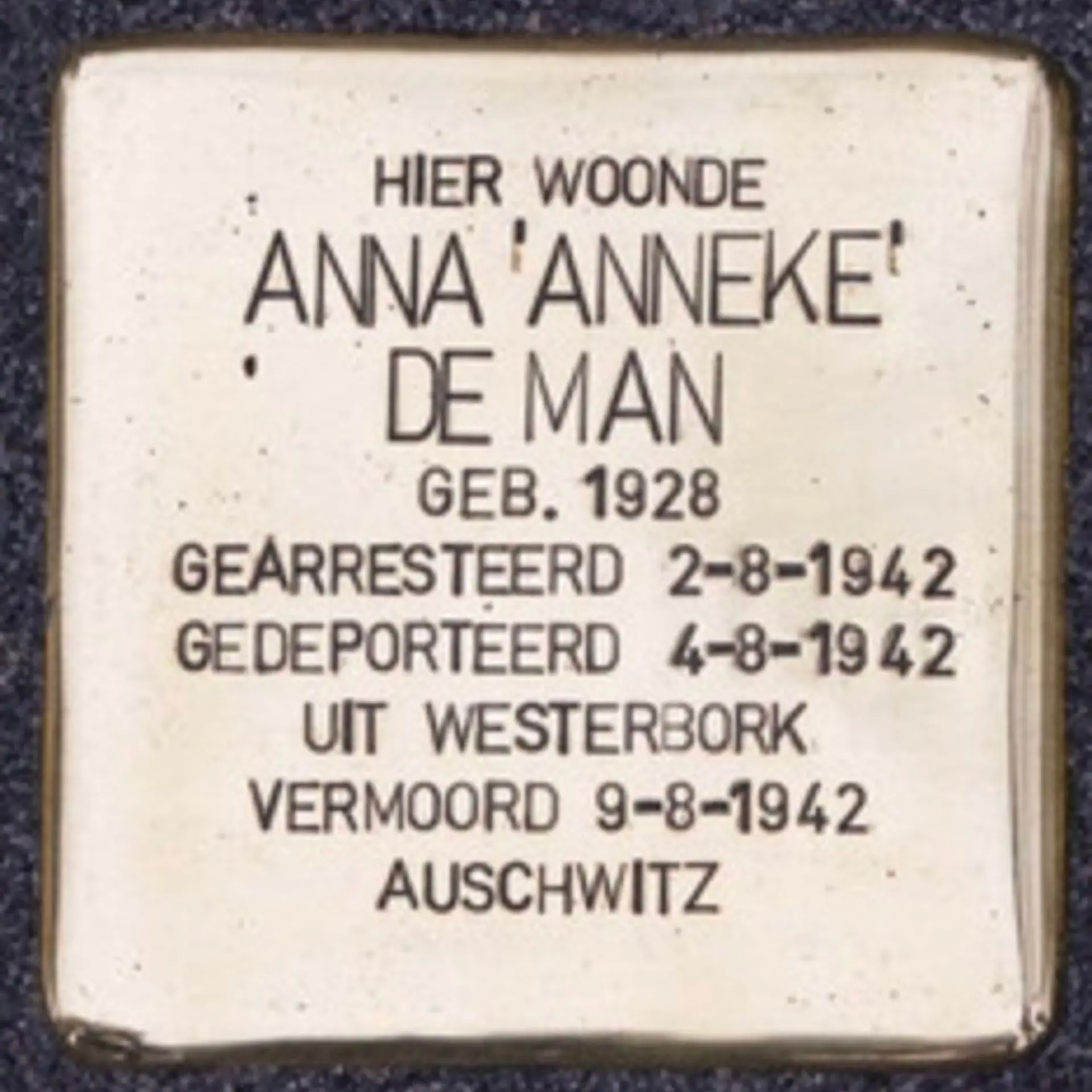 Struikelsteen voor Anna Maria Henrica Hamburger