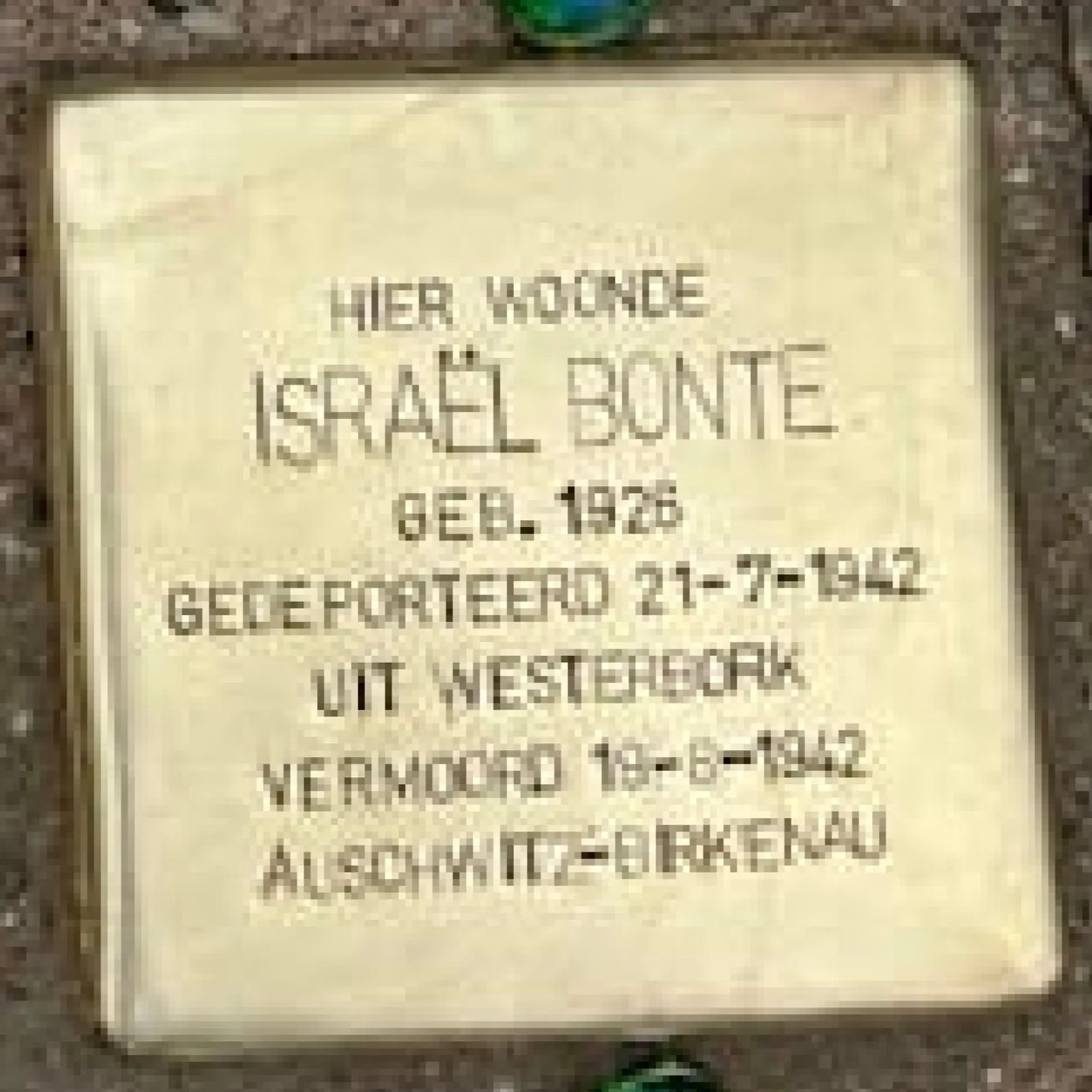 Struikelsteen voor Israël Bonte