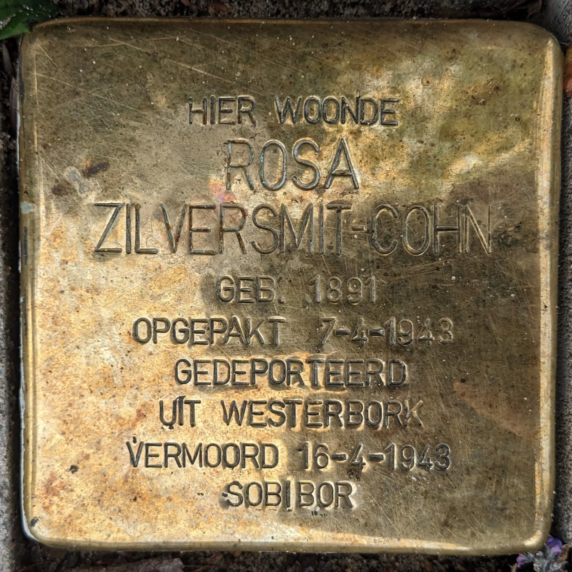 Struikelsteen voor Rosa Zilversmit-Cohn