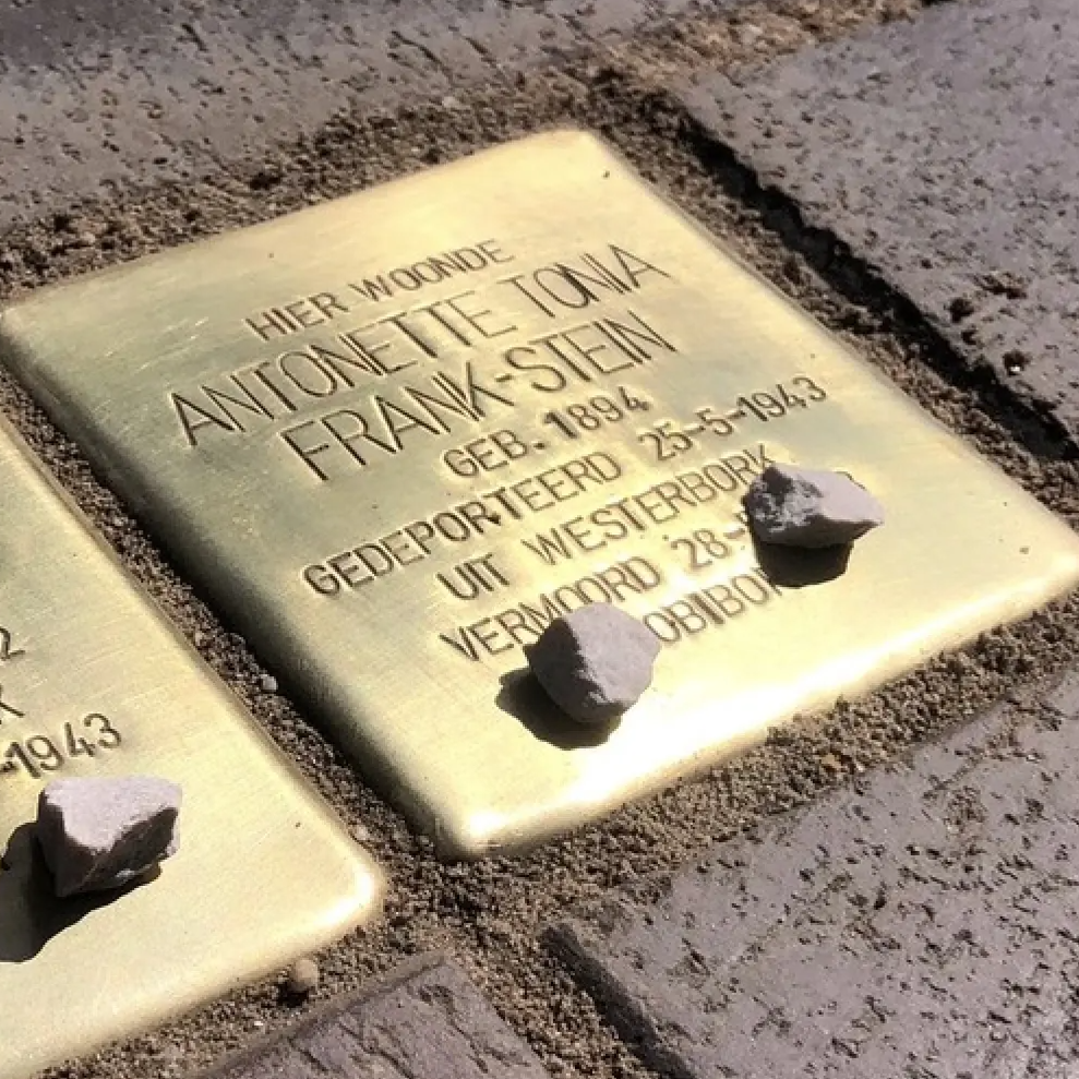 Struikelsteen voor Antonette Tonia Frank-Stein