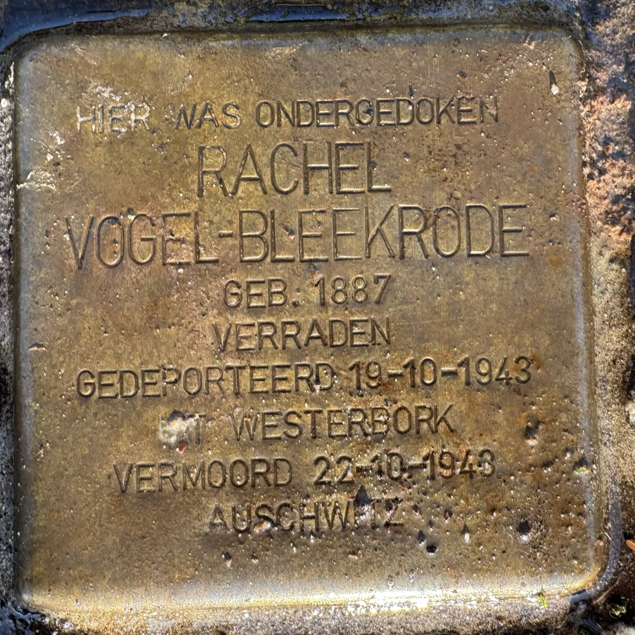 Struikelsteen voor Rachel Vogel-Bleekrode