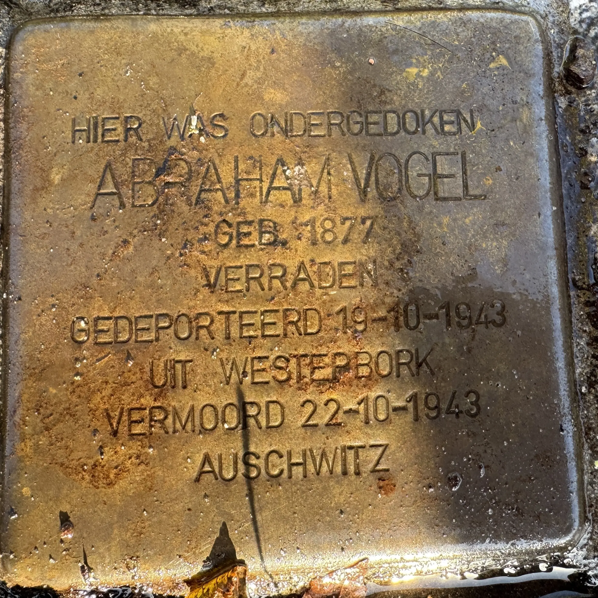 Struikelsteen voor Abraham Vogel