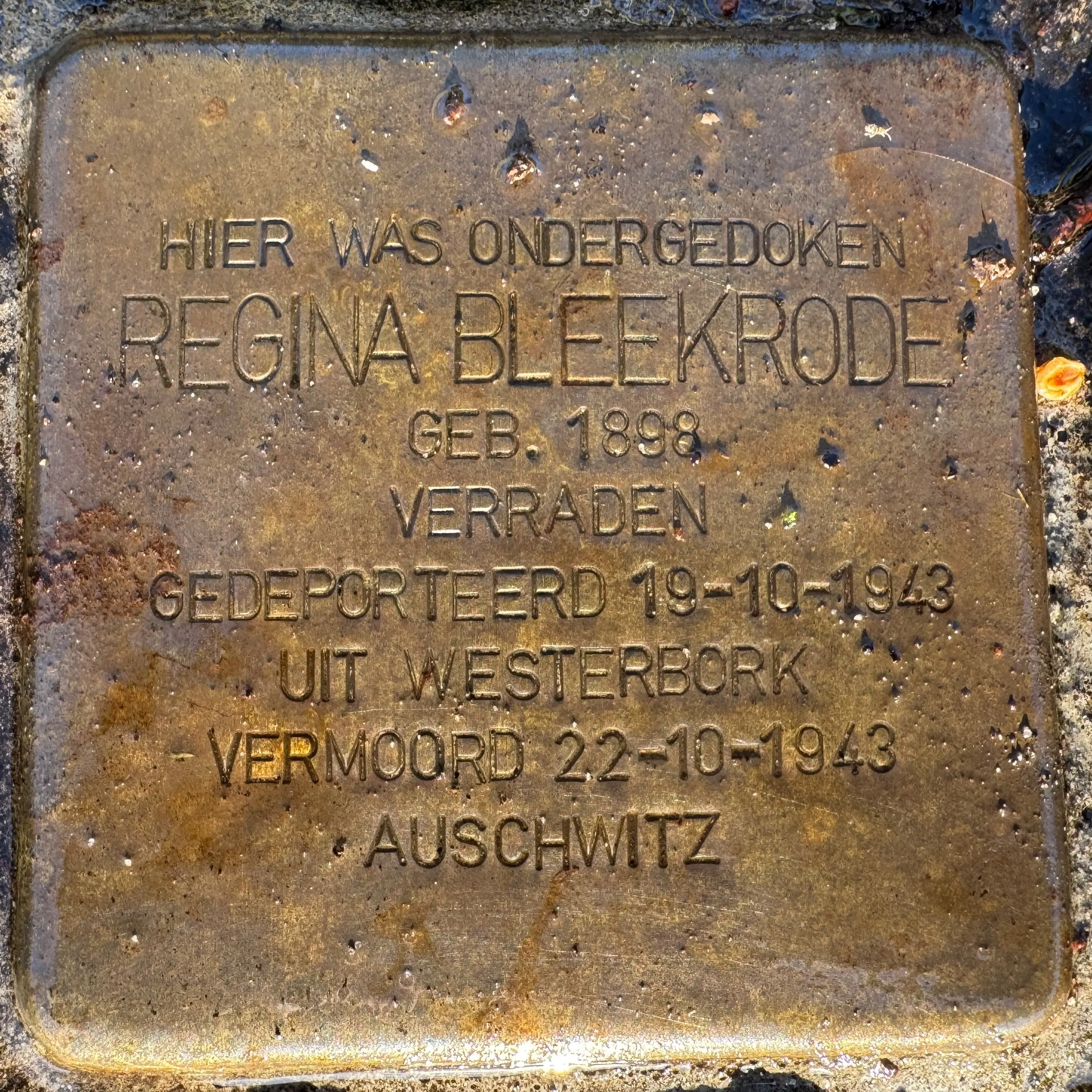 Struikelsteen voor Regina Bleekrode
